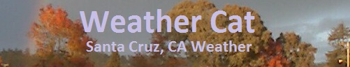 Weather Cat - Santa Cruz Weather